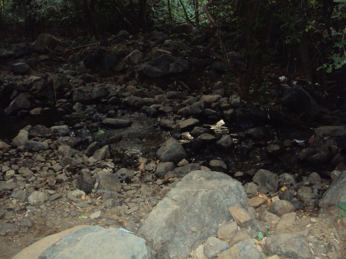 Path to ashram - Step 15