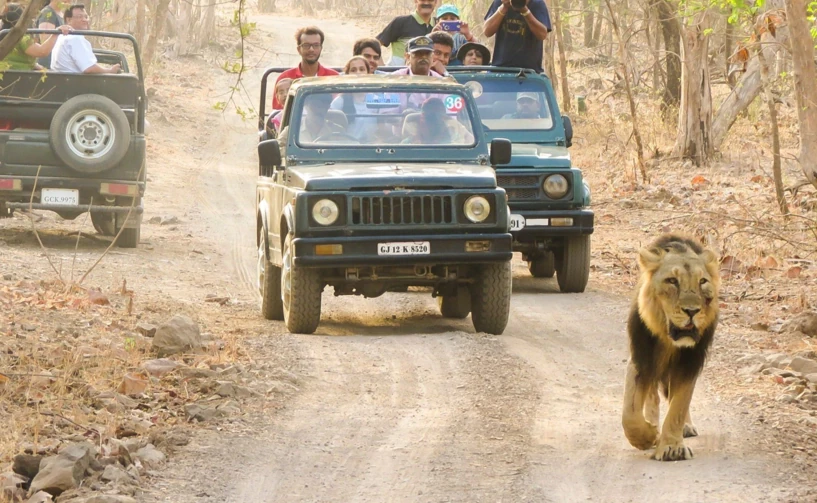 Sasan Gir National Park